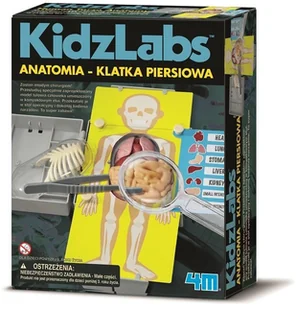 4M KidzLabs Anatomia klatka piersiowa 3373 - Mały naukowiec - miniaturka - grafika 2