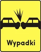 Wyposażenie miejsc publicznych - tabliczka T-14b - miniaturka - grafika 1