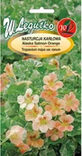 Nasiona i cebule - Legutko Nasturcja Alaska Salmon Orange - miniaturka - grafika 1