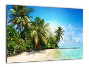 Allboards Obraz szklany PLAŻA PALMY MORZE WAKACJE 60x40cm ozdobna szklana tablica magnetyczna TS64_30001 - Obrazy i zdjęcia Allboards Obraz szklany PLAŻA PALMY MORZE WAKACJE 60x40cm ozdobna szklana tablica magnetyczna TS64_30001 - Obrazy i zdjęcia - miniaturka - grafika 1