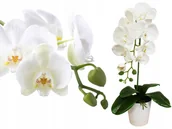 Sztuczne kwiaty - Storczyk Sztuczny Storczyki Kwiat Orchidea Kwiaty - miniaturka - grafika 1