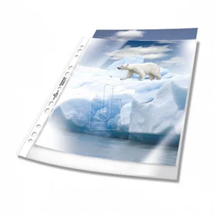 Durable Koszulki 80 mic. A4 50 szt. 2677-19 - Ofertówki - miniaturka - grafika 2