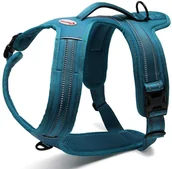 Szelki dla psów - Record Record Action Alpi Harness Turquoise - bardzo wygodne szelki odblaskowe, turkusowe - Rozmiar: S RC-08071 - miniaturka - grafika 1