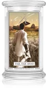 Świece - Kringle Candle Far Far Away świeczka zapachowa 624 g - miniaturka - grafika 1