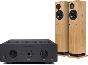 Copland CSA150 + Response D20R - Zestawy stereo - miniaturka - grafika 2