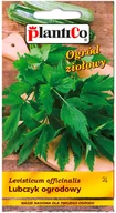 Nasiona i cebule - Plantico Lubczyk ogrodowy - miniaturka - grafika 1
