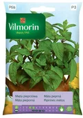 Nasiona i cebule - Vilmorin Nasiona mięta - miniaturka - grafika 1