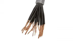 LappKabel Przewód sterowniczy OLFLEX CLASSIC 110 20G1 300/500V (1119220) - Przewody elektryczne - miniaturka - grafika 2