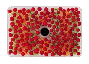 Concept SO2040 - Suszarki do grzybów, owoców i warzyw - miniaturka - grafika 5