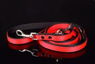 Haas F1 Team ZOO LESZCZ (PL) Soldina Dla Psa Taśma Podwójna Regulowana 30 mm ZL029/1 ZOOLESZCZ (PL) - Smycze dla psów - miniaturka - grafika 3