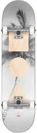 Deskorolki - GLOBE zestaw G1 Stack Lone Palm LONPLM) - miniaturka - grafika 1