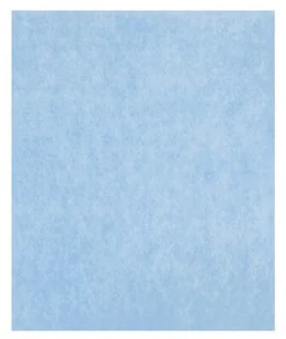 Coway filtr wstępny do Storm AP-1516D - Akcesoria i części AGD - miniaturka - grafika 3