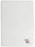 Szkolne artykuły papiernicze - Liniuszek A4 kratka/linia 2szt - miniaturka - grafika 1