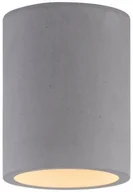 Lampy sufitowe - Paul Neuhaus 6160-22 - Oświetlenie punktowe ETON 1xGU10/10W/230V - miniaturka - grafika 1