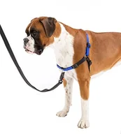 Szelki dla psów - Ferplast Coach uprząż dla psa, rozmiar 26 33 cm/2 59 cm M/L - miniaturka - grafika 1