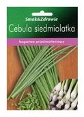 Nasiona i cebule - Floraland Cebula siedmiolatka  FLORALAND - miniaturka - grafika 1