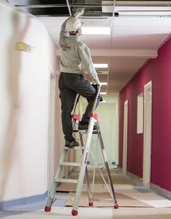 Faraone 996 99675028 Drabina magazynowa 4 stopniowa LADY wysokość robocza 2,67m) 75028-uniw - Drabiny Faraone 996 99675028 Drabina magazynowa 4 stopniowa LADY wysokość robocza 2,67m) 75028-uniw - Drabiny - miniaturka - grafika 2