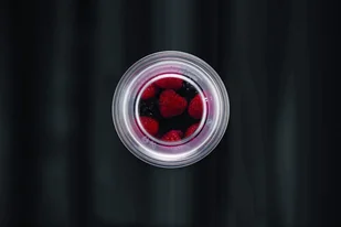 Bodum Zestaw2 kubków/pojemników ToGo 0,3l.Pavina K11849-10SA - Kubki - miniaturka - grafika 4