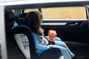 LIONELO   Bastiaan Isofix 0-36 kg szary - Foteliki samochodowe - miniaturka - grafika 11