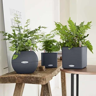 Lechuza Doniczka PURO Color 20 piaskowy brąz - Donice - miniaturka - grafika 8