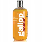 Akcesoria jeździeckie - Szampon koni kasztanow. C&D&M Gallop 500ml - miniaturka - grafika 1