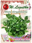 Nasiona i cebule - Legutko Mięta okrągłolistna - miniaturka - grafika 1
