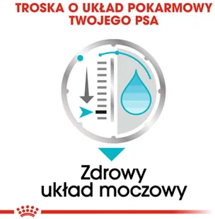 Royal Canin CCN Urinary Care 12x85g karma mokra pasztet dla psów dorosłych 25432-uniw - Mokra karma dla psów - miniaturka - grafika 6
