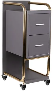 GABBIANO POMOCNIK FRYZJERSKI SOLO ZŁOTO SZARY 135396 - Meble fryzjerskie - miniaturka - grafika 6