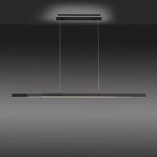 Paul Neuhaus Q-SMART-HOME Q-ARIAN lampa wisząca LED antracytowa - Systemy inteligentnych domów - miniaturka - grafika 4