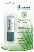 Balsamy do ust - Himalaya HERBALS Himalaya HERBALS Odżywczy Balsam Do Ust 4g - miniaturka - grafika 1