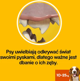 Pedigree PEDIGREE DentaStix średnie rasy) przysmak dentystyczny dla psów 3 szt 77g 40484-uniw - Przysmaki dla psów - miniaturka - grafika 3
