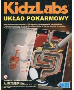 4M KidzLabs Poznaj Układ Pokarmowy - Mały naukowiec - miniaturka - grafika 5