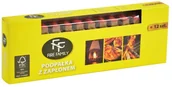 Rozpałki - Podpałka Fire Family z masą zapałczaną 12 szt. - miniaturka - grafika 1