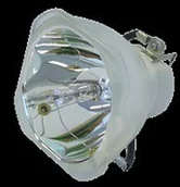 Lampy do projektorów - Ushio Lampa do NSHA210SE - oryginalna lampa bez modułu NSHA210W 54*54 - miniaturka - grafika 1