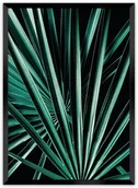 Plakaty - Dekoria Dekoria Plakat Dark Palm Tree 70 x 100 cm Ramka Czarna 223E-000-18 - miniaturka - grafika 1