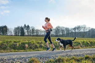 Hunter szary pas joggingowy jasper - Pozostałe akcesoria dla psów - miniaturka - grafika 5