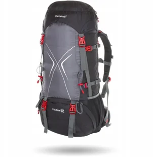 Campus Plecak Trekkingowy turystyczny Falcon 65+10 - Plecaki - miniaturka - grafika 3