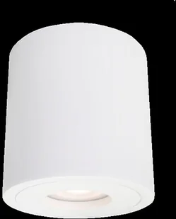 Light Prestige Faro XL oprawa natynkowa biała z IP44 LP-6510/1SM XL WH - Oświetlenie warsztatowe - miniaturka - grafika 3