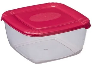 Plast Team poland Pojemnik Na Żywność Kwadrat Polar 0,95L PlastTeam PT16750803 - Pojemniki kuchenne - miniaturka - grafika 2