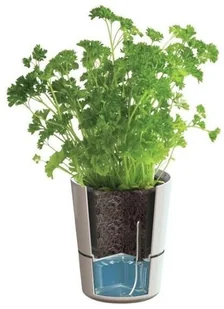 MEPAL Rosti Mepal doniczka na zioła z nawadnianiem EFN-RM-33 - Pozostałe akcesoria kuchenne - miniaturka - grafika 5