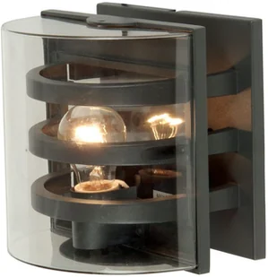 Elstead Lighting Ogrodowa LAMPA ścienna FRIDA/M elewacyjna OPRAWA półokrągły KINKIET zewnętrzny IP54 przezroczysty grafitowy FRIDA/M - Lampy ogrodowe - miniaturka - grafika 3