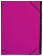 Pudła i pojemniki do przechowywania - Pagna Curlpult Ordner 12-częściowy róż, ciemny róż 24129-34 - miniaturka - grafika 1