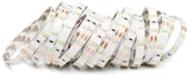 Taśmy LED - KOLORENO TAŚMA LED 12V | 3014 | 300LED | 5M | IP20 | BIAŁY TL12V301460IP20PW - miniaturka - grafika 1