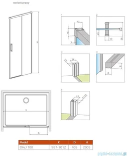 Radaway Idea Gold DWJ drzwi wnękowe 100cm prawe szkło przejrzyste 387014-09-01R | - Ścianki i drzwi prysznicowe - miniaturka - grafika 2