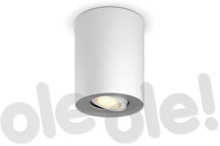 Philips Philips Hue White Ambiance Pillar 929003046801 bez pilota biały 929003046801 - Systemy inteligentnych domów - miniaturka - grafika 2
