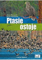 Encyklopedie i leksykony - Ptasie ostoje Używana - miniaturka - grafika 1