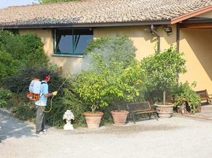 OLEO-MAC ITALIA MB 800 OPRYSKIWACZ SPALINOWY PLECAKOWY TURBINOWY 14L MOC 5 KM PREMIUM 365280020E2C - Opryskiwacze - miniaturka - grafika 11