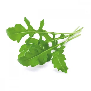 CLICK AND GROW Click And Grow Kapsułki roślinne Click and Grow Plant Pods Rukola 3-Pack SGR19X3 4742793008769 - Systemy inteligentnych domów CLICK AND GROW Click And Grow Kapsułki roślinne Click and Grow Plant Pods Rukola 3-Pack SGR19X3 4742793008769 - Systemy inteligentnych domów - miniaturka - grafika 3