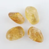 Wróżbiarstwo i radiestezja - Fraida.pl Cytryn 02 KB-cytryn02 - miniaturka - grafika 1