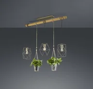 Lampy sufitowe - Trio Plant Wisząca 301000367 - miniaturka - grafika 1